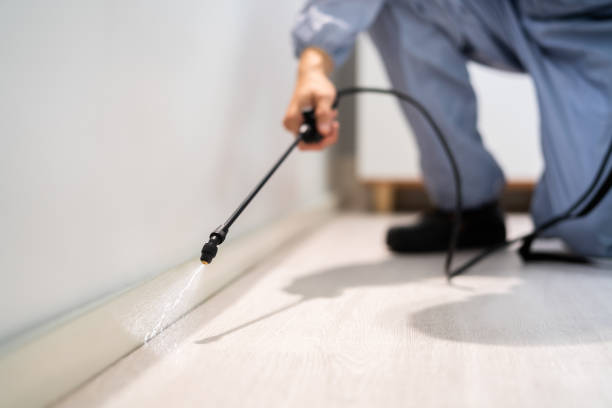Rodent Entry Point Assessment in Garden Acres
