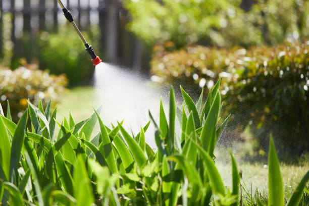 Tamper-Resistant Bait Stations for Rodents in Garden Acres