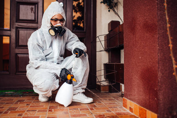Attic and Crawl Space Rodent Treatment in Garden Acres