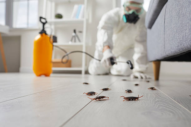 Commercial Rodent Management in Garden Acres